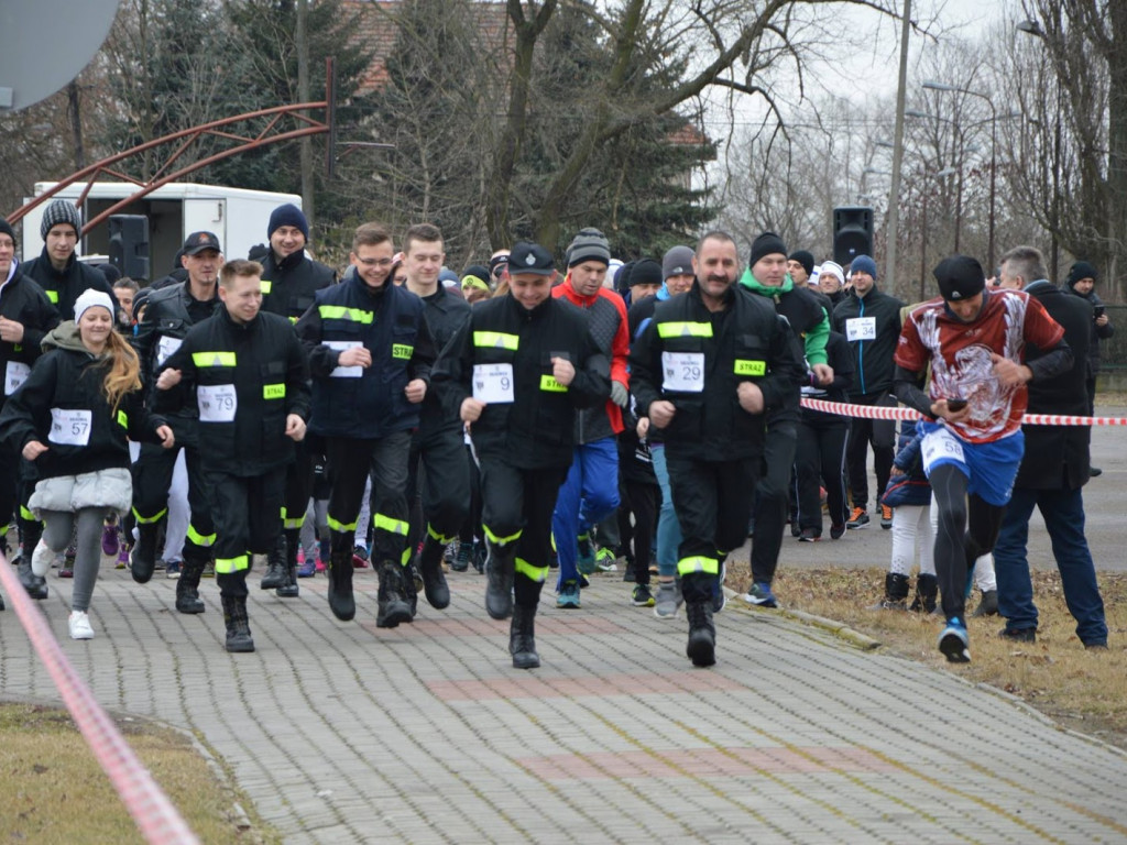 W Kruszwicy ruszyli wilczym tropem! [FOTO+VIDEO]