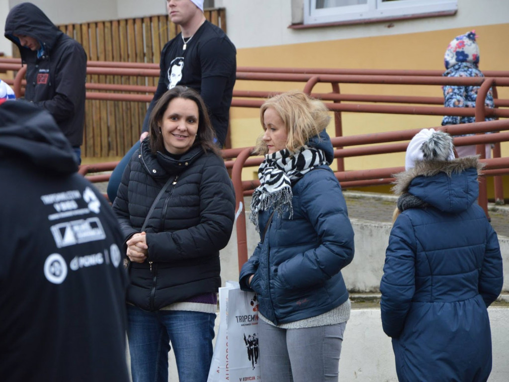 W Kruszwicy ruszyli wilczym tropem! [FOTO+VIDEO]