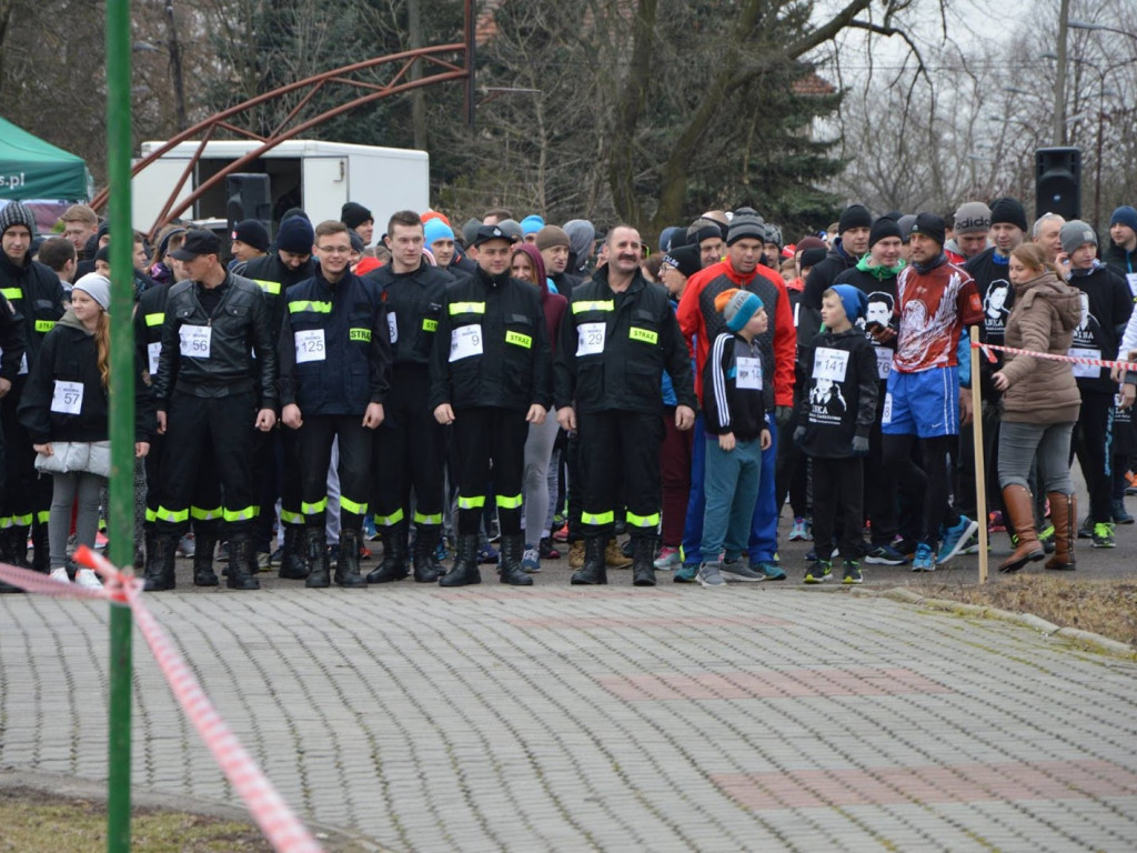 W Kruszwicy ruszyli wilczym tropem! [FOTO+VIDEO]