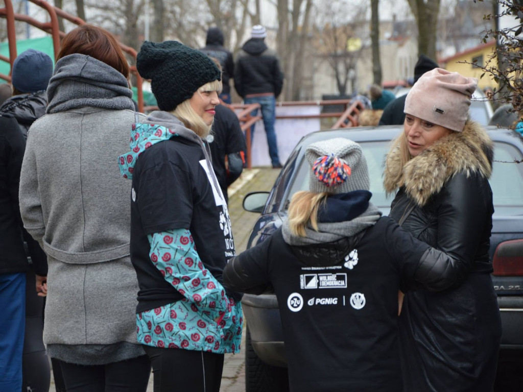 W Kruszwicy ruszyli wilczym tropem! [FOTO+VIDEO]