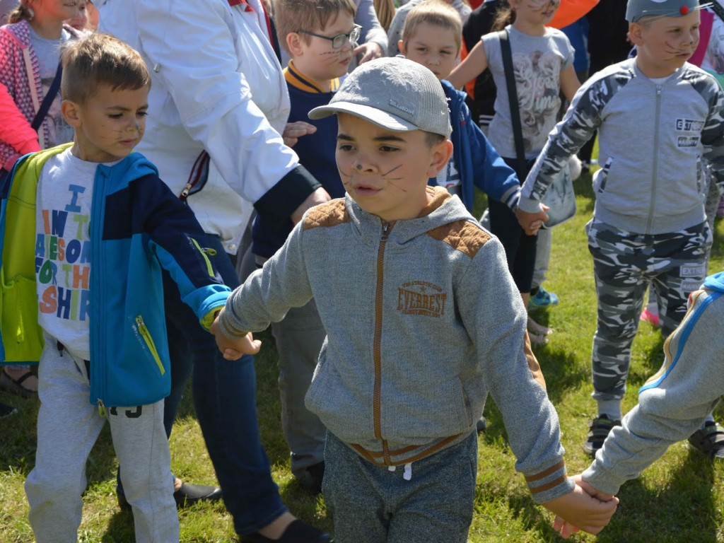 Myszy dostały władzę nad miastem. Parada gryzoni przeszła ulicami miasta