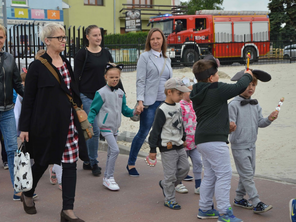Myszy dostały władzę nad miastem. Parada gryzoni przeszła ulicami miasta