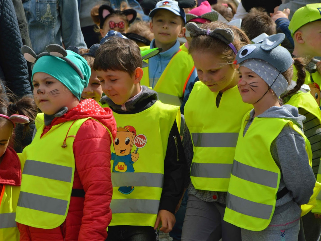 Myszy dostały władzę nad miastem. Parada gryzoni przeszła ulicami miasta