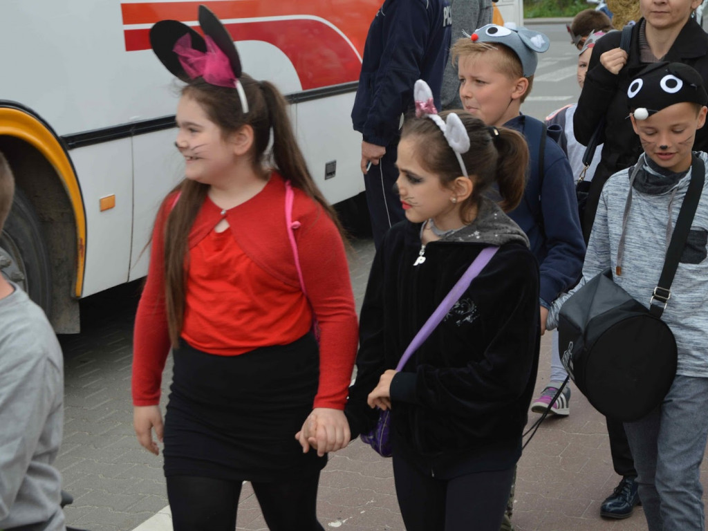 Myszy dostały władzę nad miastem. Parada gryzoni przeszła ulicami miasta