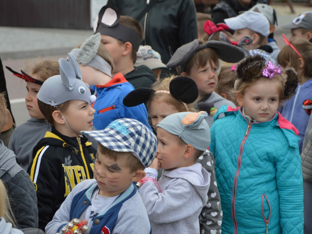 Myszy dostały władzę nad miastem. Parada gryzoni przeszła ulicami miasta