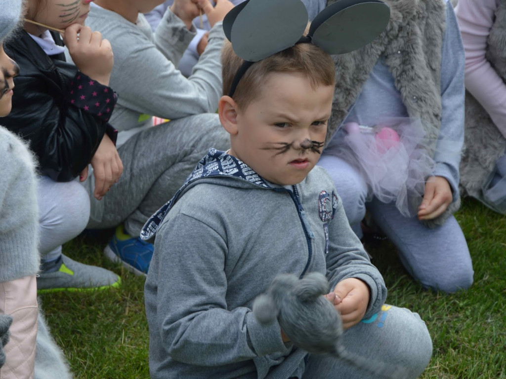 Myszy dostały władzę nad miastem. Parada gryzoni przeszła ulicami miasta