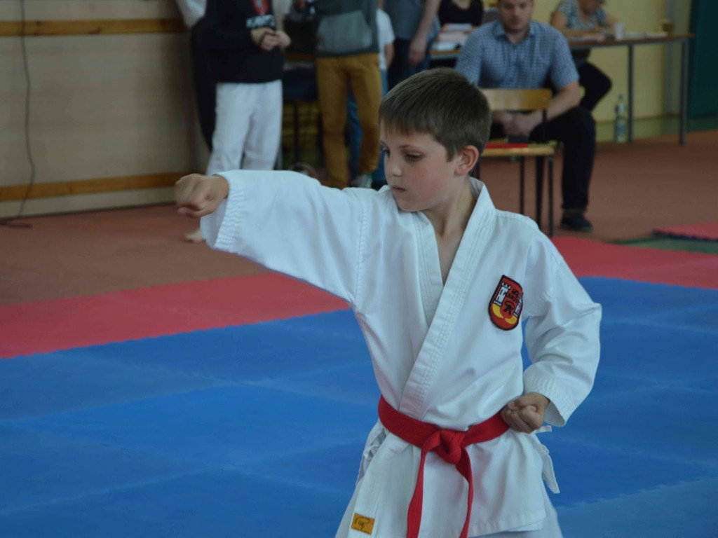 Trwa Turniej Karate o Puchar Burmistrza Kruszwicy