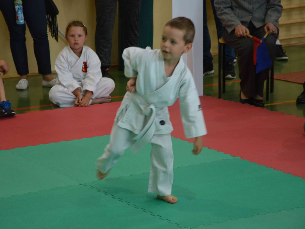 Trwa Turniej Karate o Puchar Burmistrza Kruszwicy