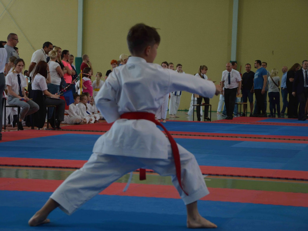 Trwa Turniej Karate o Puchar Burmistrza Kruszwicy