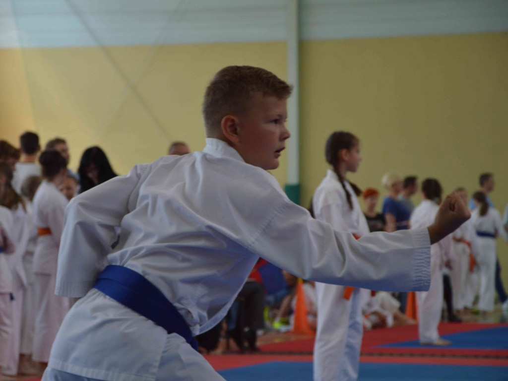 Trwa Turniej Karate o Puchar Burmistrza Kruszwicy