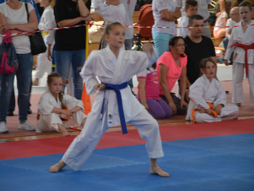 Trwa Turniej Karate o Puchar Burmistrza Kruszwicy