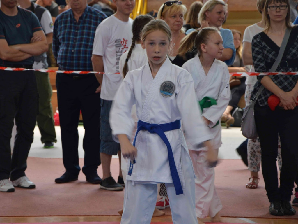 Trwa Turniej Karate o Puchar Burmistrza Kruszwicy