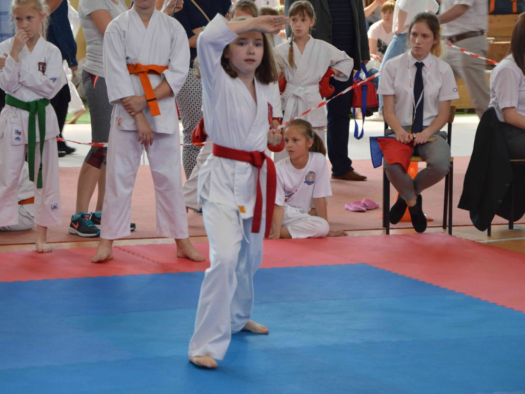 Trwa Turniej Karate o Puchar Burmistrza Kruszwicy