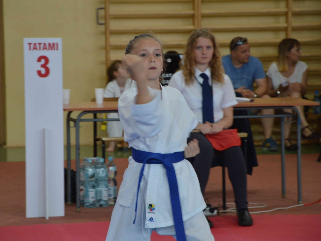 Trwa Turniej Karate o Puchar Burmistrza Kruszwicy