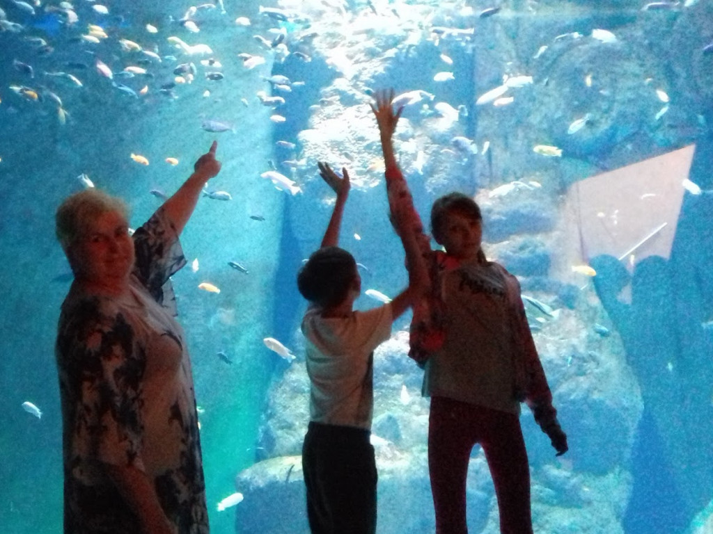 Dzieci z Chełmc i okolic odwiedziły Afrykarium i ZOO we Wrocławiu