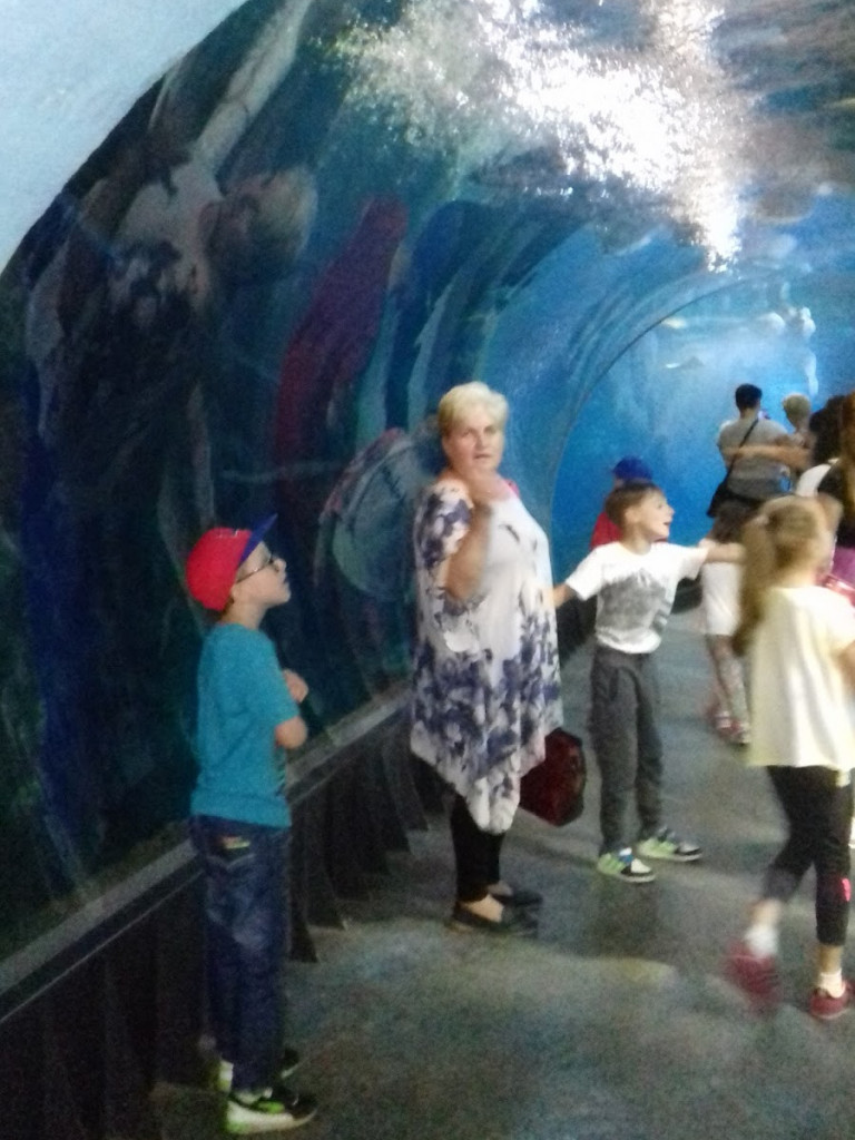 Dzieci z Chełmc i okolic odwiedziły Afrykarium i ZOO we Wrocławiu