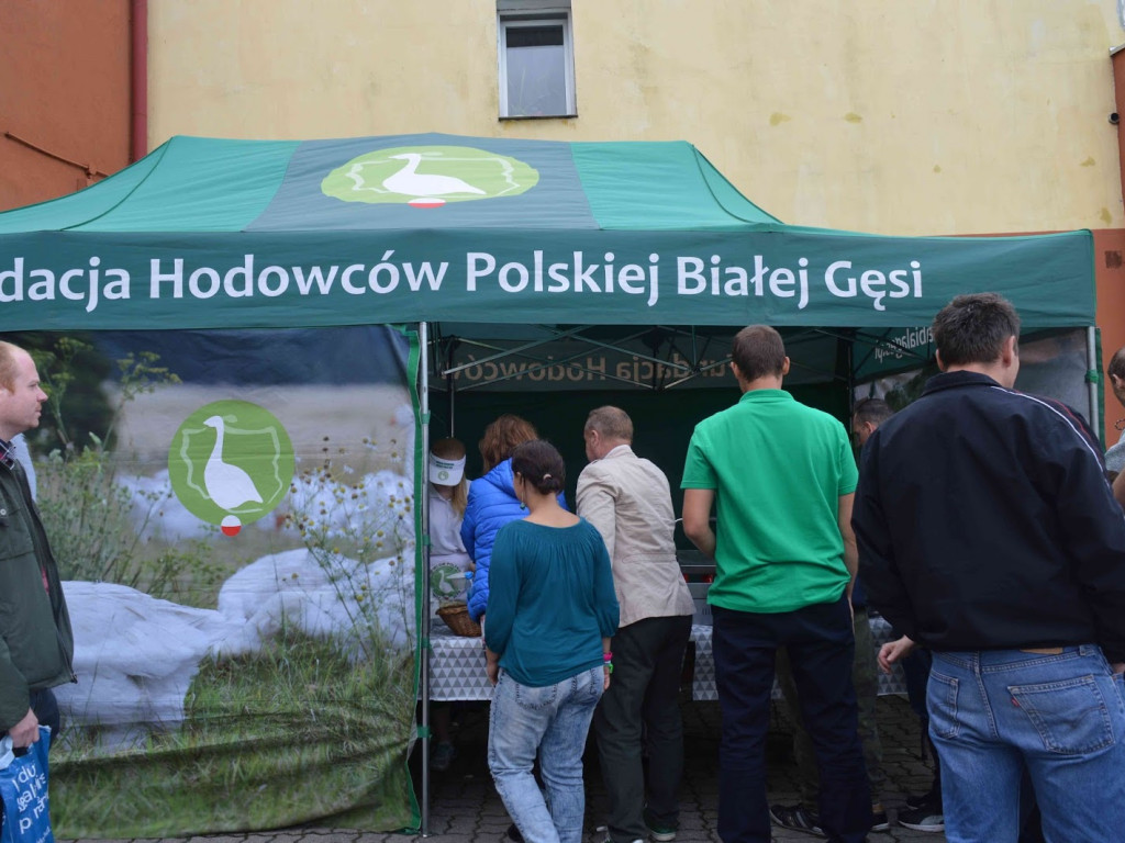 Zagrali w I Amatorskim Turnieju Bilardowym. Zobacz zdjęcia z wydarzenia