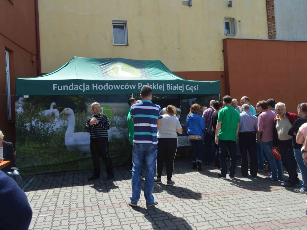 Zagrali w I Amatorskim Turnieju Bilardowym. Zobacz zdjęcia z wydarzenia