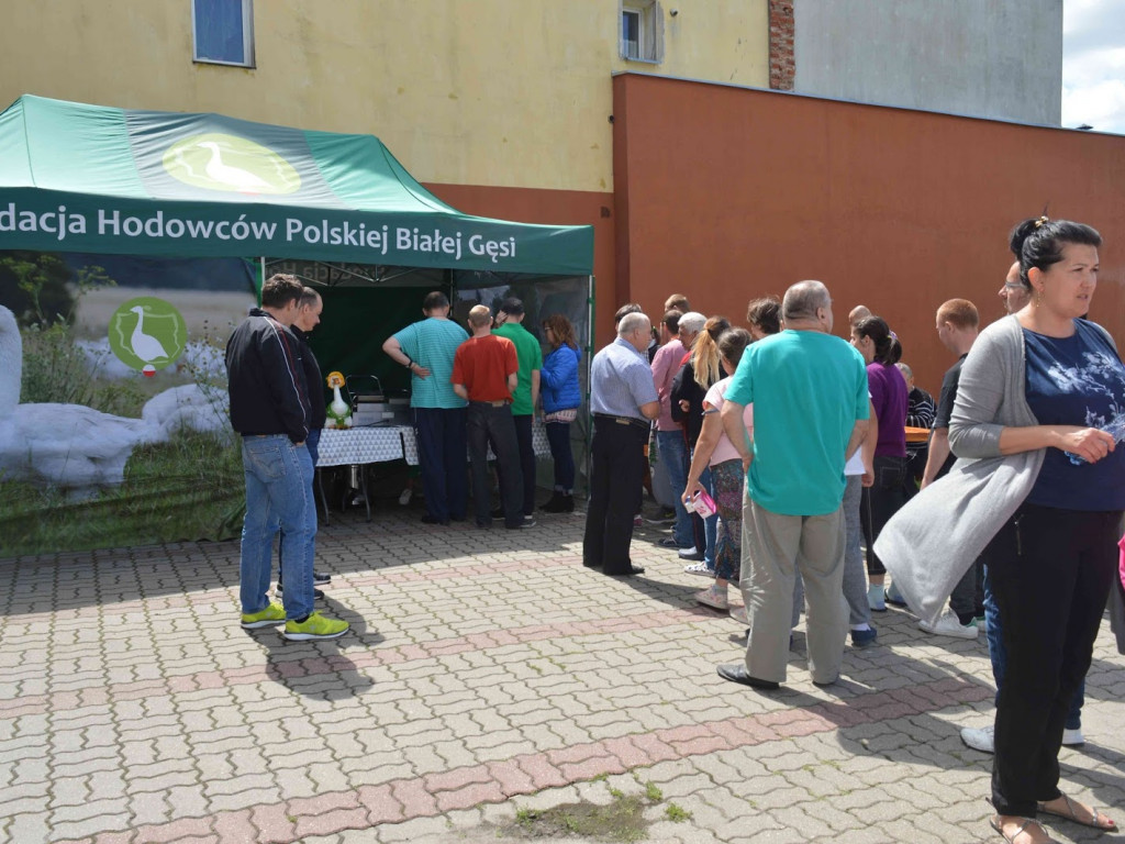 Zagrali w I Amatorskim Turnieju Bilardowym. Zobacz zdjęcia z wydarzenia