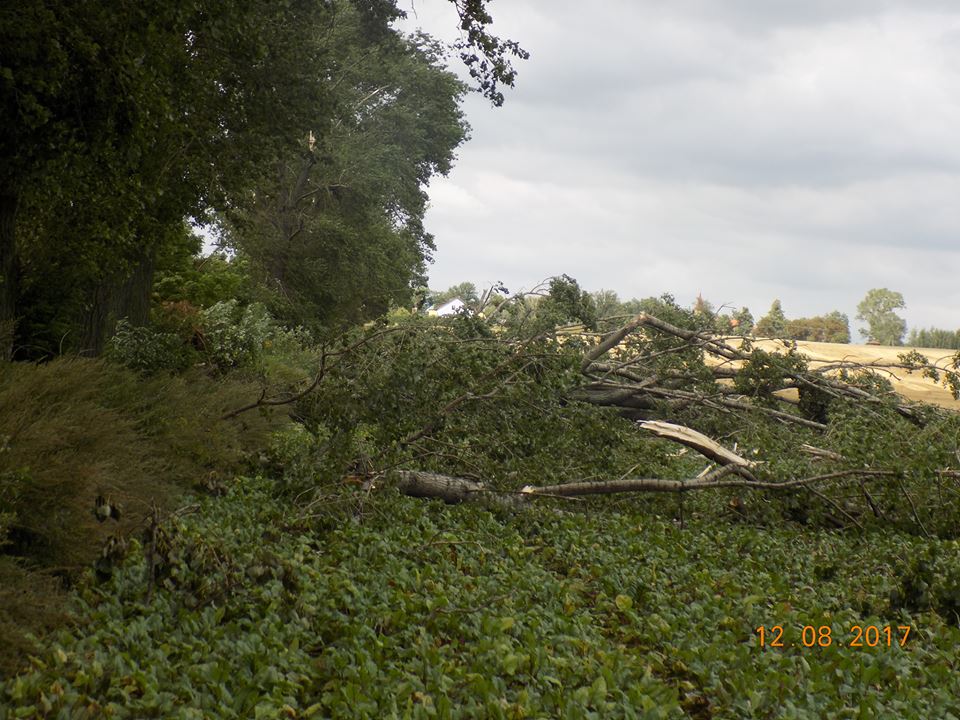Chełmce: Wyrwane drzewa, zniszczone groby oraz dach kościoła [FOTO]