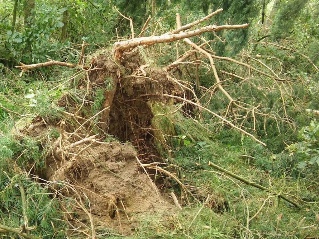 Strażacy z Kruszwicy o akcji wyjazdowej: Płacz i lament rodzin pozbawionych dachu nad głową na długo zostanie w naszej pamięci [FOTO]