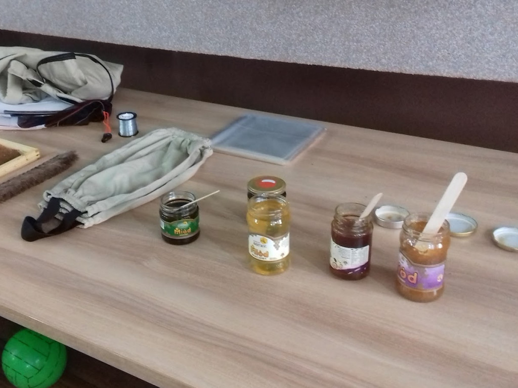 Budowa ula, degustacje miodów, życie pszczół. W Chełmcach zorganizowali warsztaty pszczelarskie [FOTO]