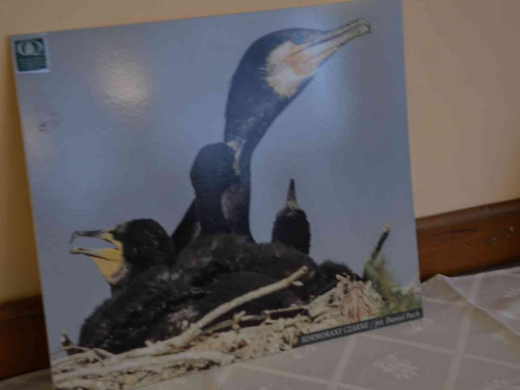  Trwają Obchody Dnia Krajobrazu w Kruszwicy [FOTO] - MojaKruszwica.pl