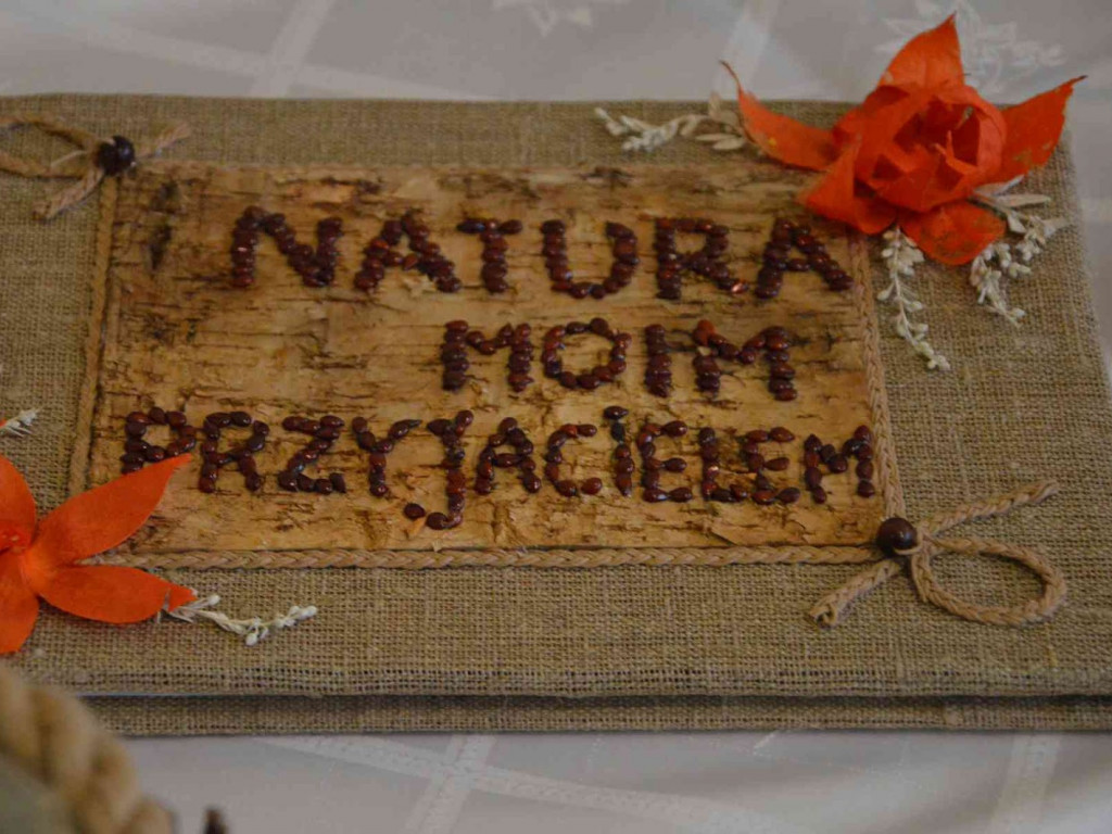  Trwają Obchody Dnia Krajobrazu w Kruszwicy [FOTO] - MojaKruszwica.pl