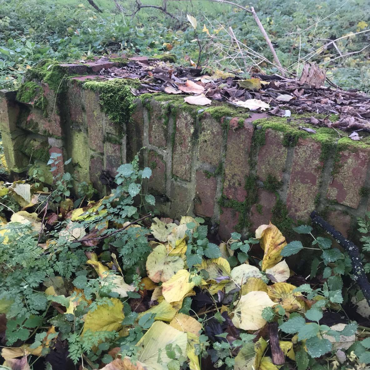 O (nieistniejącym) cmentarzu w lesie obok Polanowic