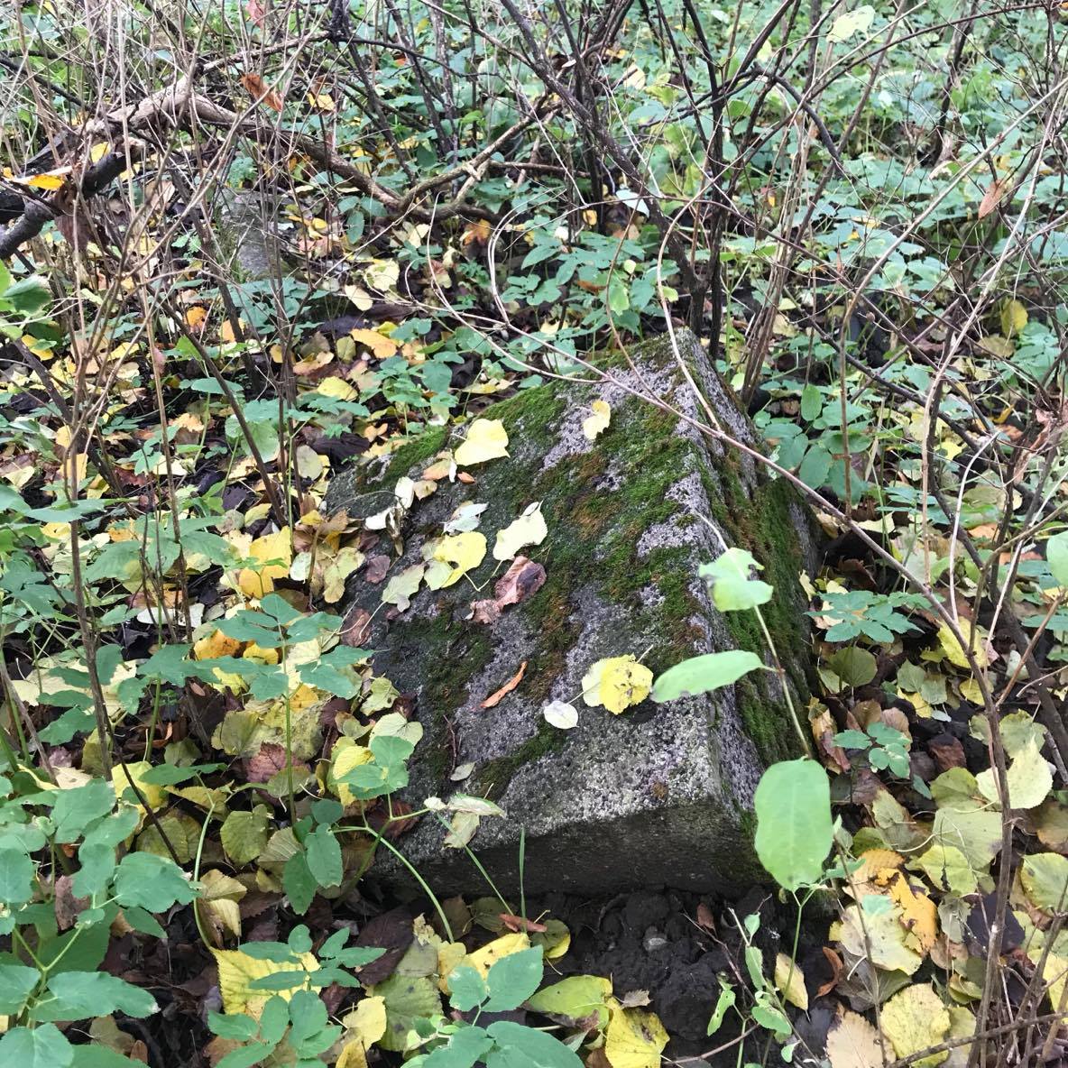 O (nieistniejącym) cmentarzu w lesie obok Polanowic