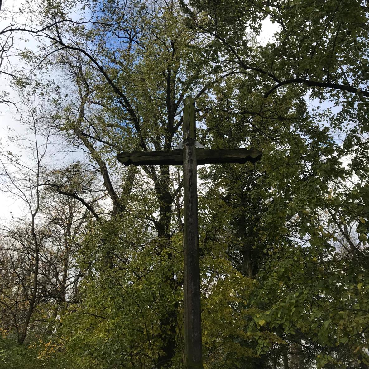 O (nieistniejącym) cmentarzu w lesie obok Polanowic