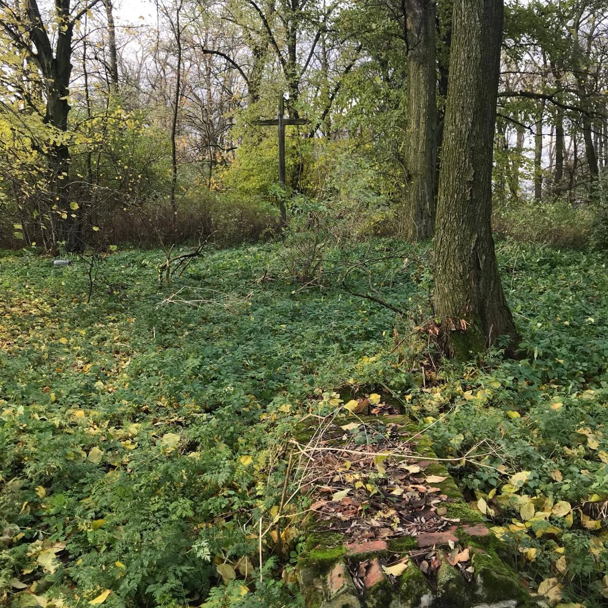 O (nieistniejącym) cmentarzu w lesie obok Polanowic