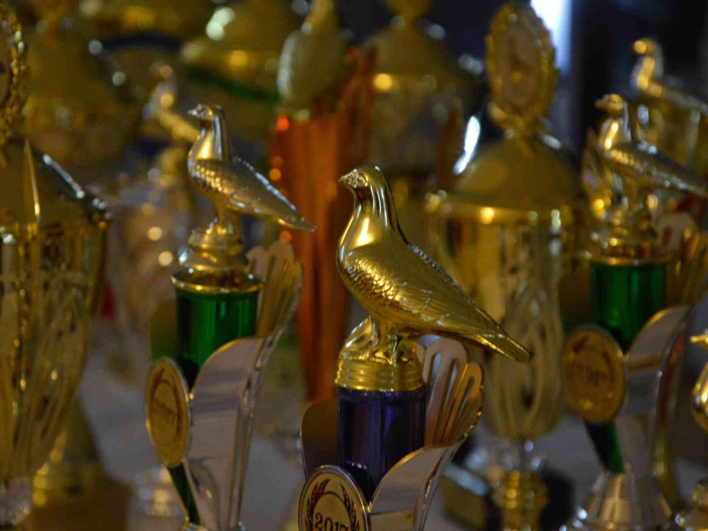 Kruszwiccy hodowcy zakończyli sezon lotowy