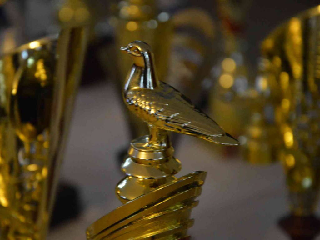 Kruszwiccy hodowcy zakończyli sezon lotowy