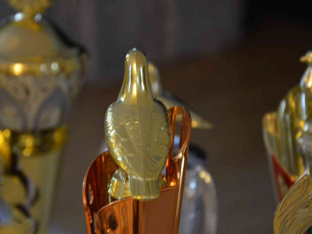 Kruszwiccy hodowcy zakończyli sezon lotowy