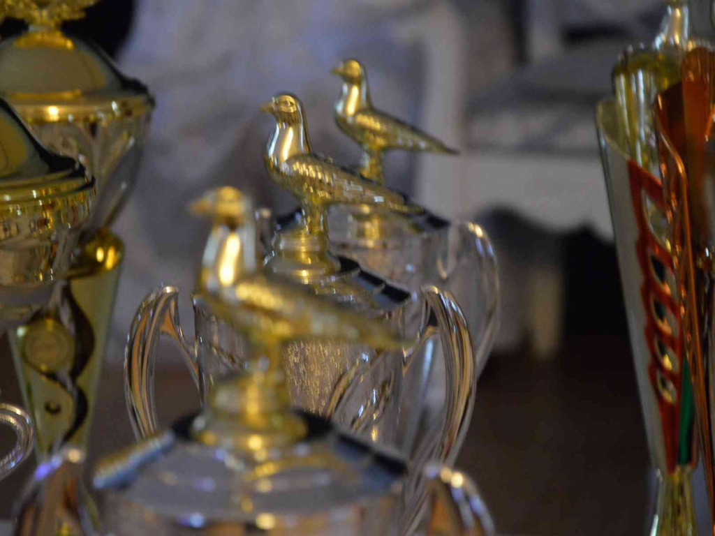 Kruszwiccy hodowcy zakończyli sezon lotowy