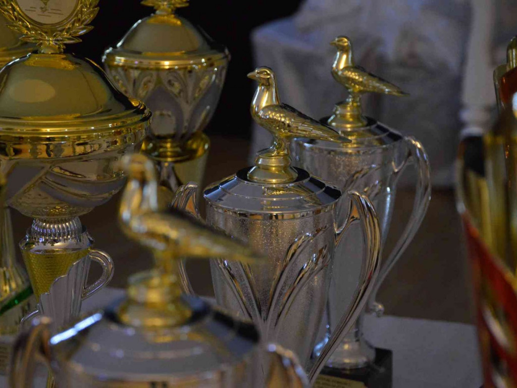 Kruszwiccy hodowcy zakończyli sezon lotowy