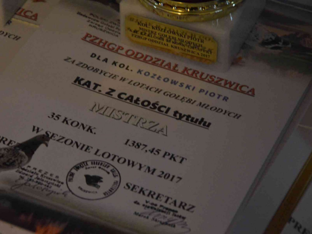 Kruszwiccy hodowcy zakończyli sezon lotowy