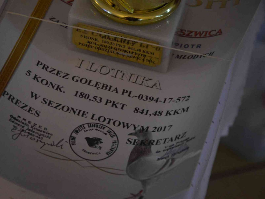 Kruszwiccy hodowcy zakończyli sezon lotowy