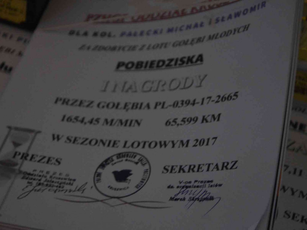 Kruszwiccy hodowcy zakończyli sezon lotowy