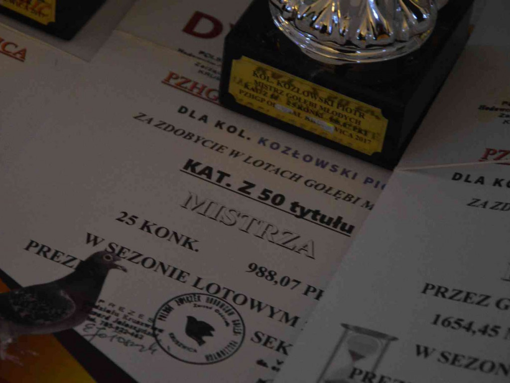 Kruszwiccy hodowcy zakończyli sezon lotowy