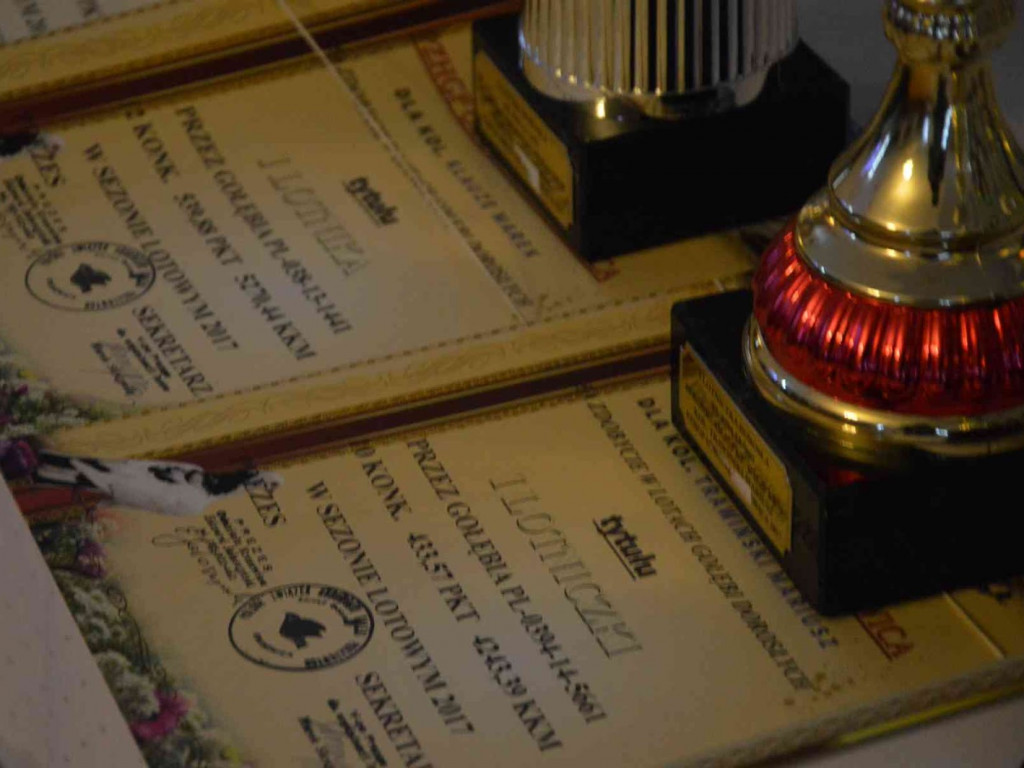 Kruszwiccy hodowcy zakończyli sezon lotowy