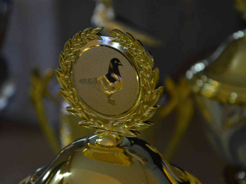 Kruszwiccy hodowcy zakończyli sezon lotowy