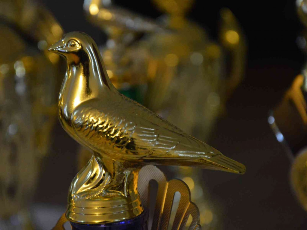 Kruszwiccy hodowcy zakończyli sezon lotowy