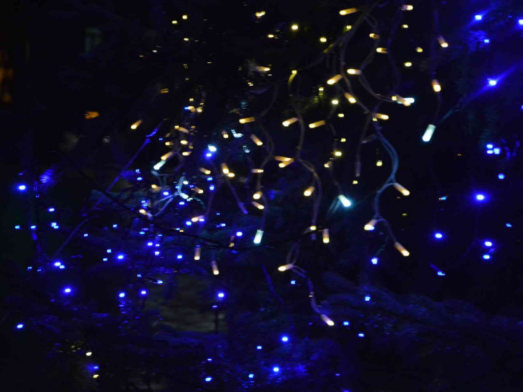 Kruszwica gotowa do Świąt Bożego Narodzenia [ZDJĘCIA]