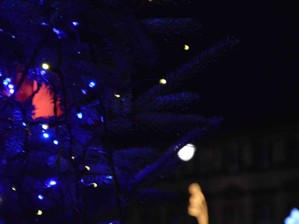 Kruszwica gotowa do Świąt Bożego Narodzenia [ZDJĘCIA]