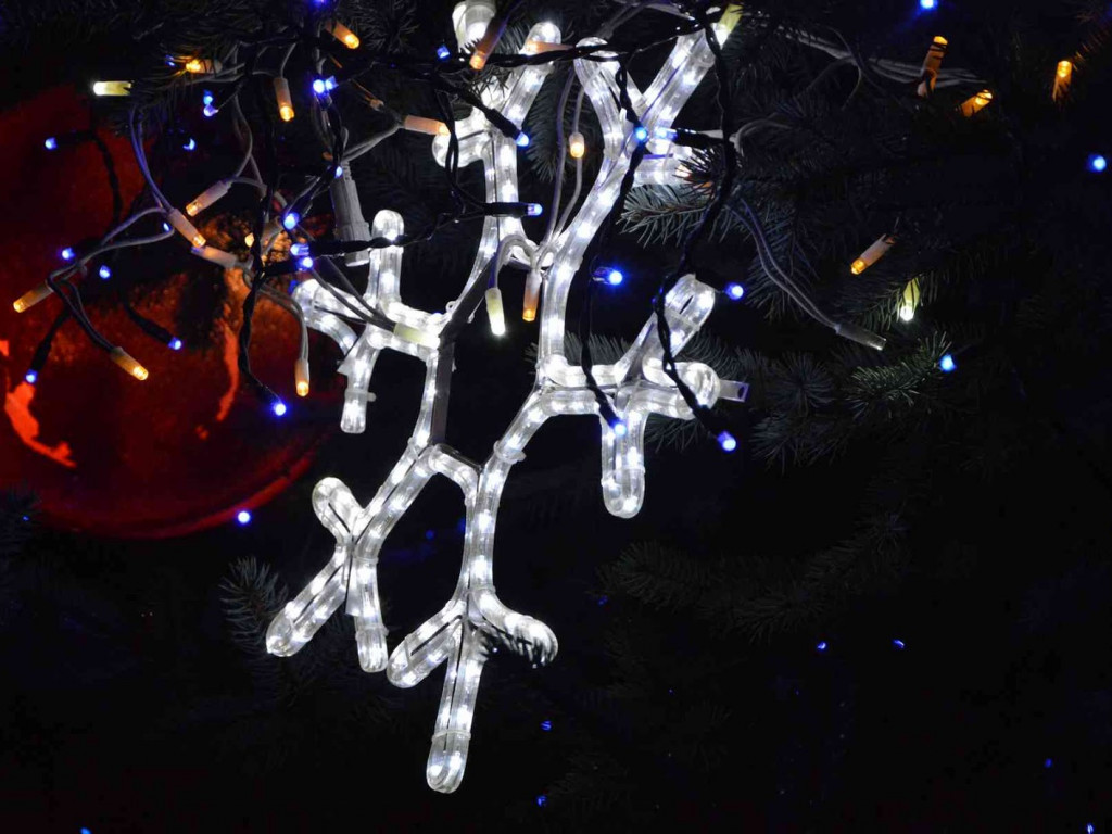 Kruszwica gotowa do Świąt Bożego Narodzenia [ZDJĘCIA]