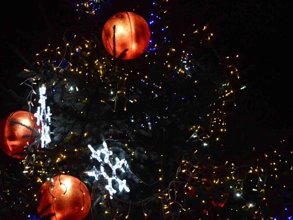 Kruszwica gotowa do Świąt Bożego Narodzenia [ZDJĘCIA]