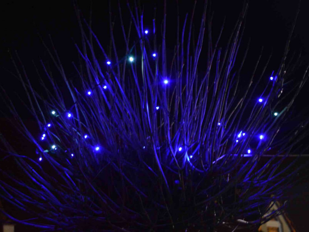 Kruszwica gotowa do Świąt Bożego Narodzenia [ZDJĘCIA]