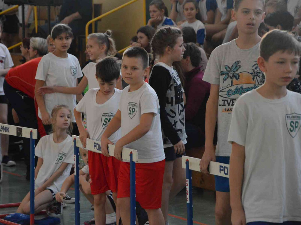 Trwa kolejna edycja Pluszowego Misia. Na hali rywalizują dzieci szkół podstawowych